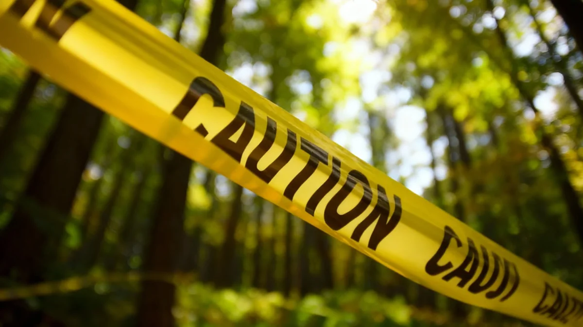 Index Funds: S&P 500 vs. Value ETFs for Investors