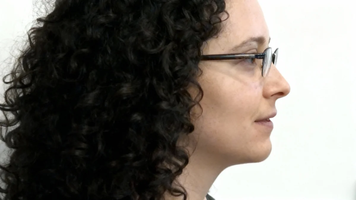 Palantir Stock Reaches New Highs Amid Valuation Concerns