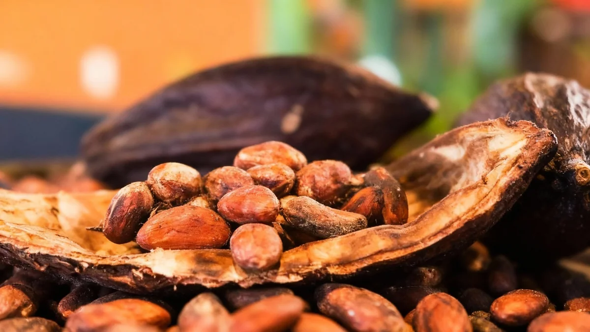 Cocoa Prices Skyrocket on Major Index Inclusion News