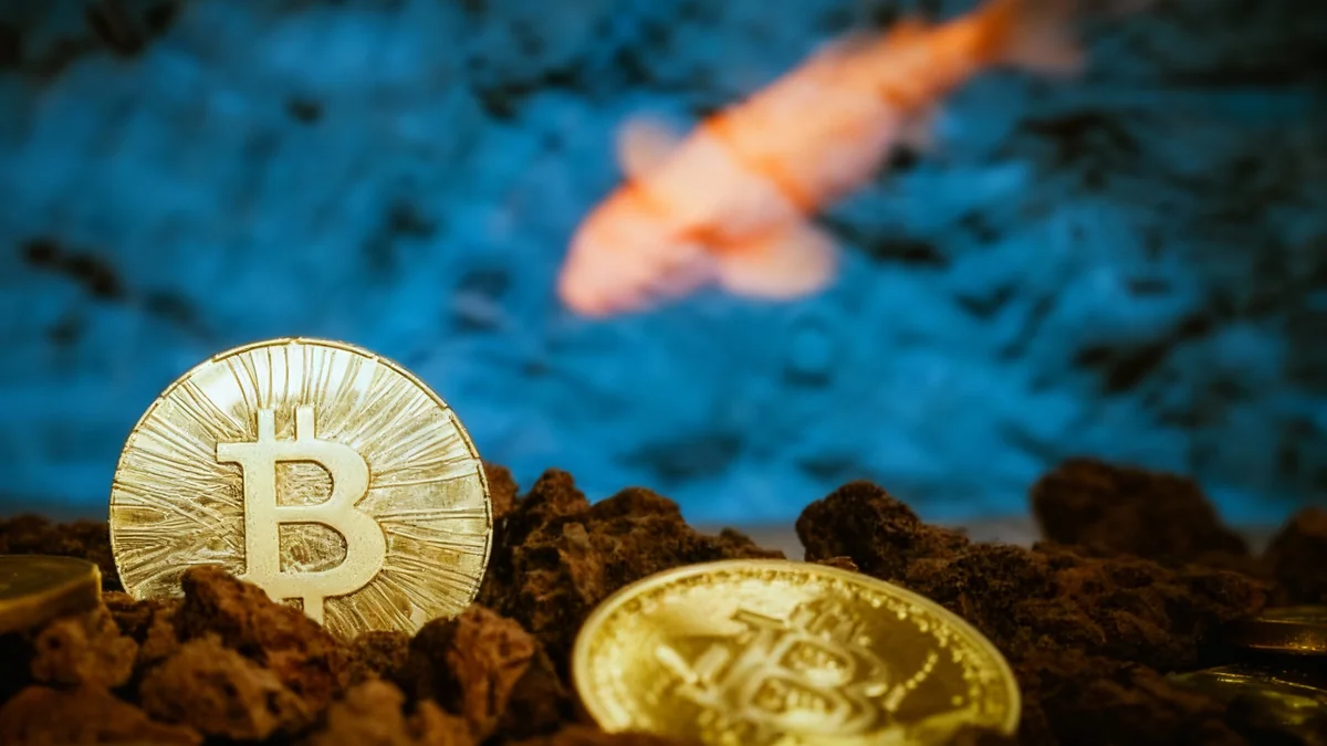 Bitcoin Leads Crypto Market Plunge Amid Rate Cut Doubts